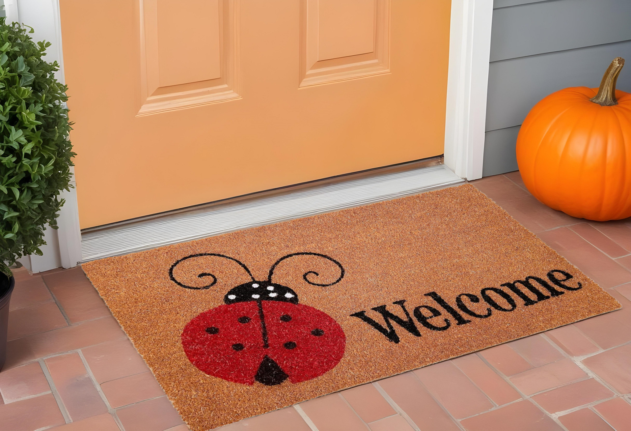 Doormats